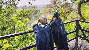 Ecuadorian Amazon Rainforest