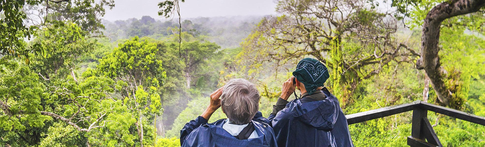 Ecuadorian Amazon Rainforest