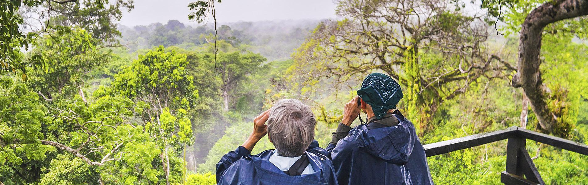 Ecuadorian Amazon Rainforest
