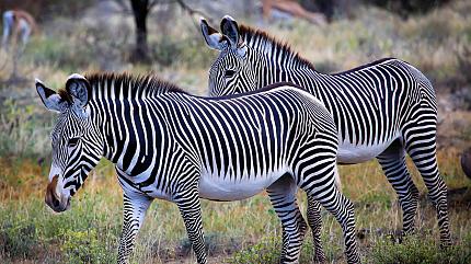 Serengeti National Park