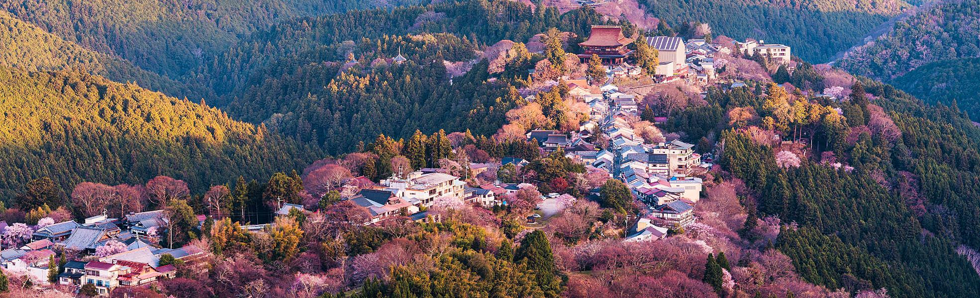 Mt. Yoshino, Japan