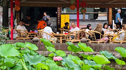 Tea Tasting in People's Park, Chengdu