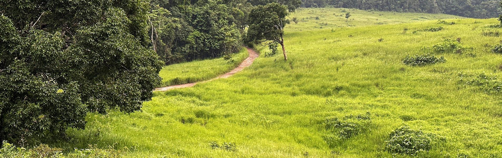 Khao Yai National Park