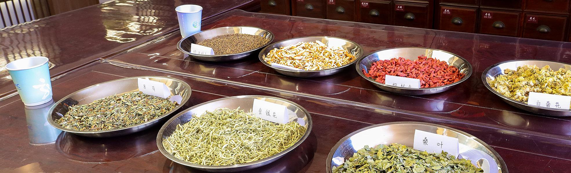 Traditional Chinese Medicine Experience