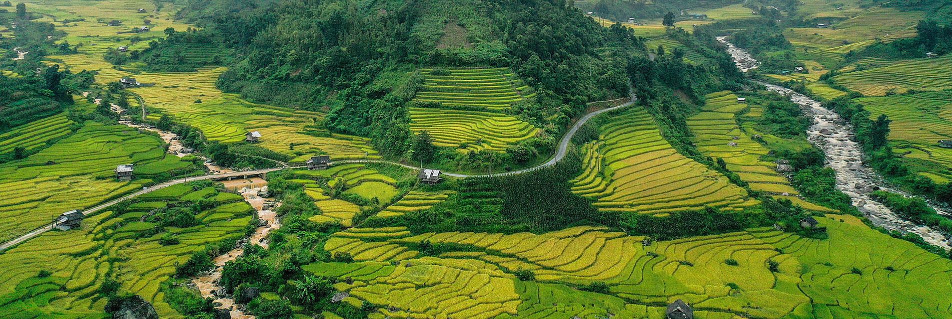 Sapa