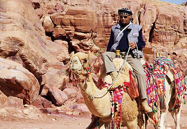 Ride a Camel in Petra