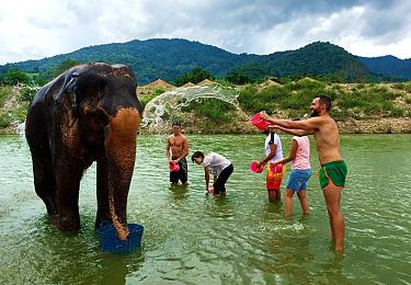 Bath for the elephant