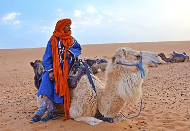 Ride a camel in the Sahara Desert 