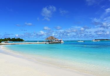 Maldive Island