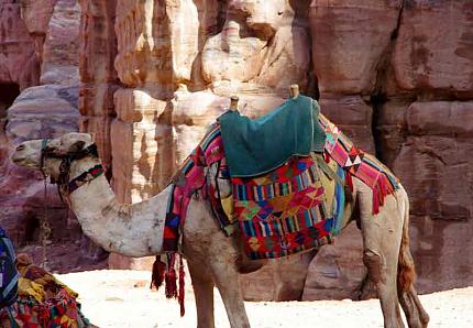 Petra