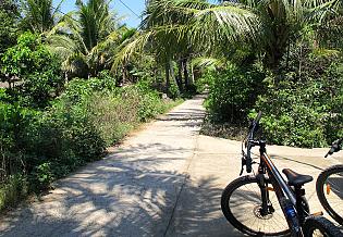 Mekong Delta Tour with Cycling