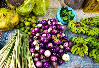 Local Vegetables and Fruits