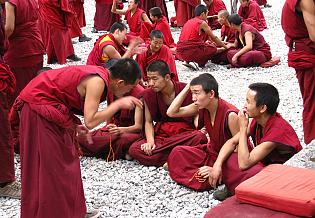 Monks in Sera Monastery