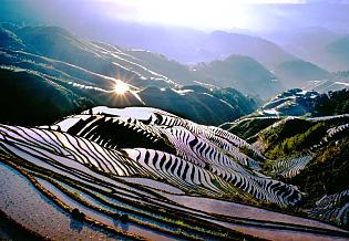 Longsheng Rice Terrace