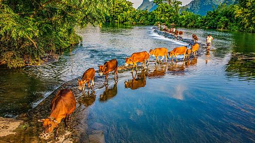 Yulong River in Yangshuo