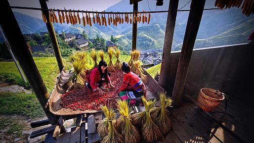The Longji Rice Terraces in Longsheng County