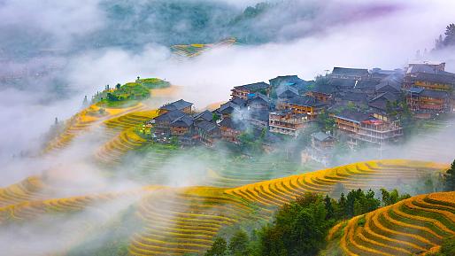 Longji Rice Terraces