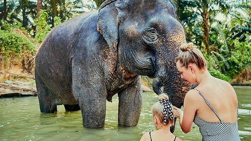 Elephant Jungle Sanctuary