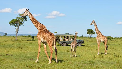 Serengeti National Park