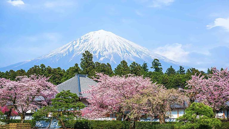 Mt. Fuji