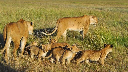 Aberdare National Park