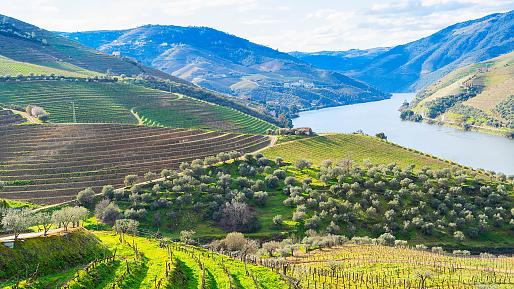 Douro Valley