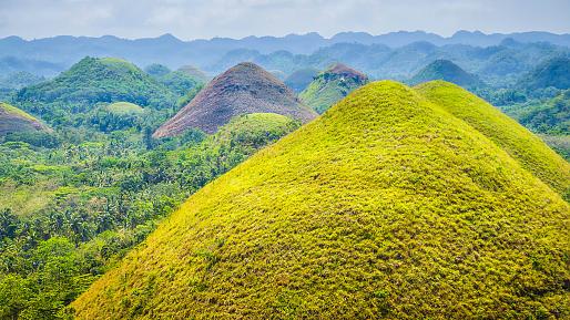 Chocolate Hills