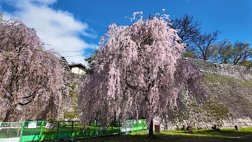 Morioka Castle Ruins Park