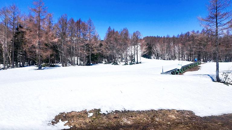 Shiga Kogen Ski Area