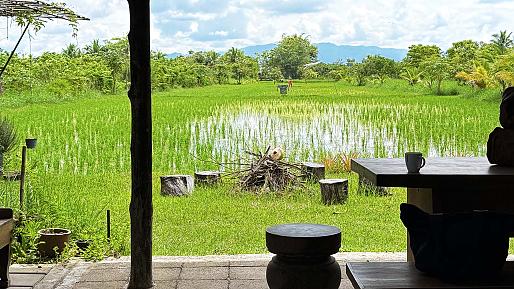 Organic Farm in Chiang Mai