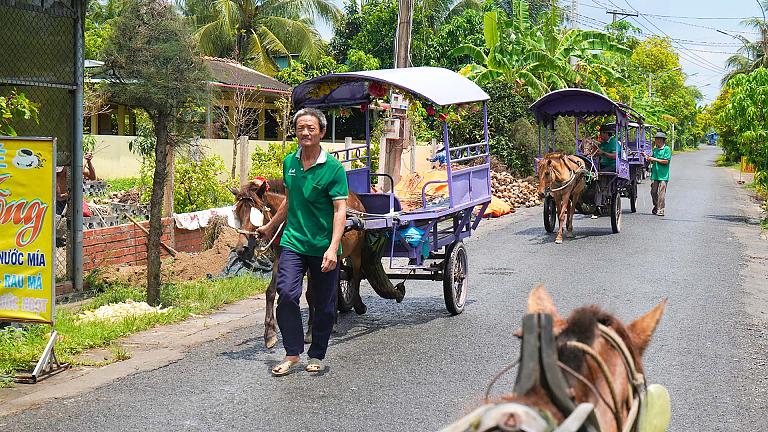 Rural Horse Cart