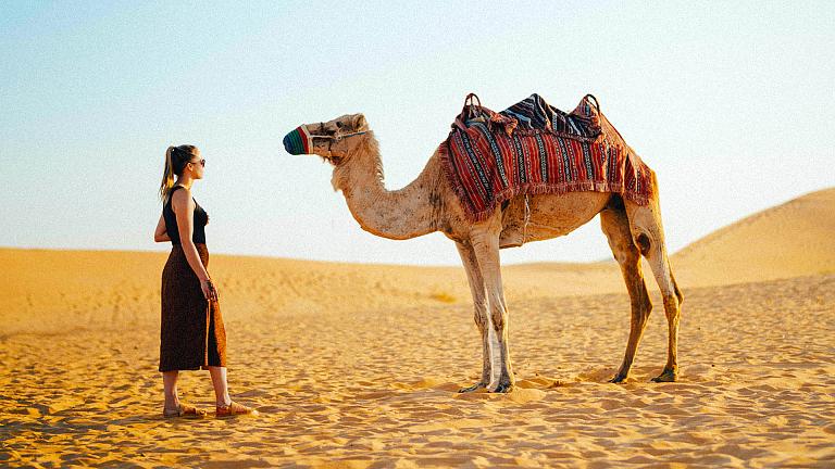 Sahara Desert