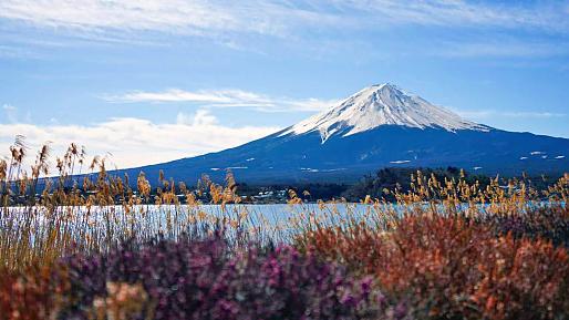 Mt. Fuji