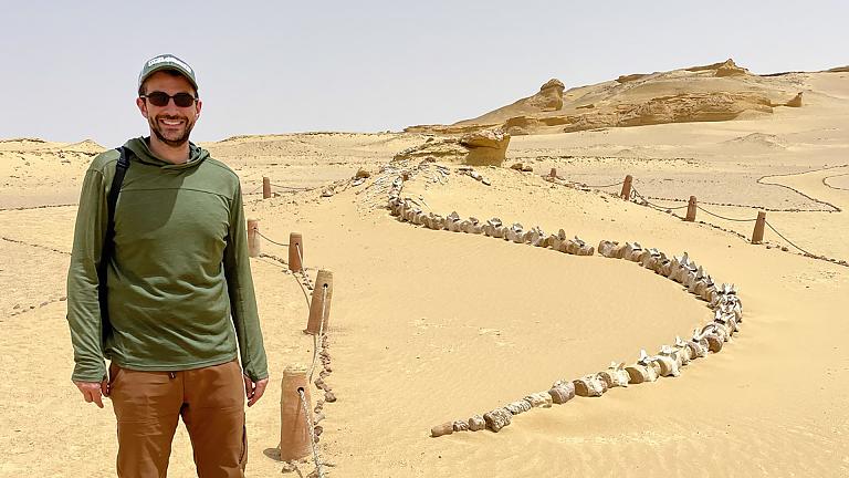 Wadi El Hitan