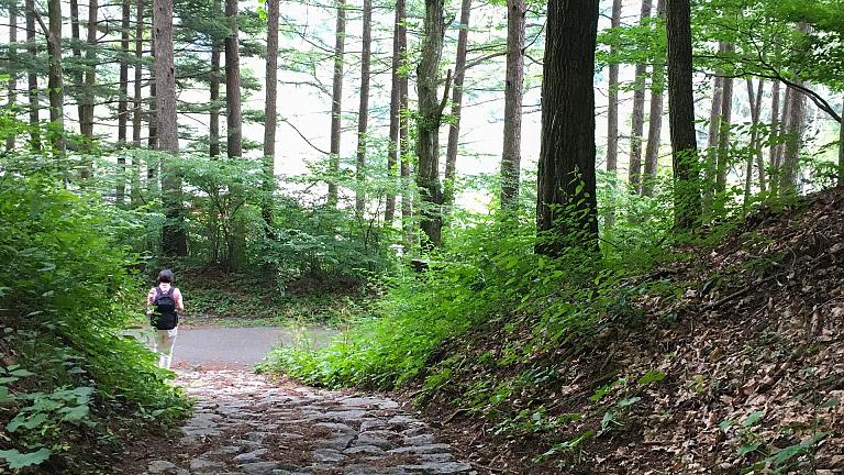 Nakasendo Trail
