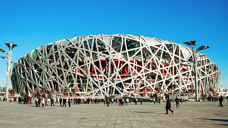 The Bird's Nest
