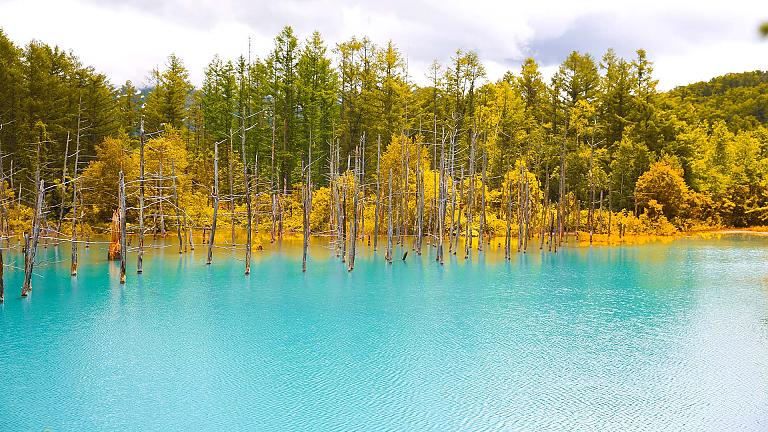 Blue Pond, Biei
