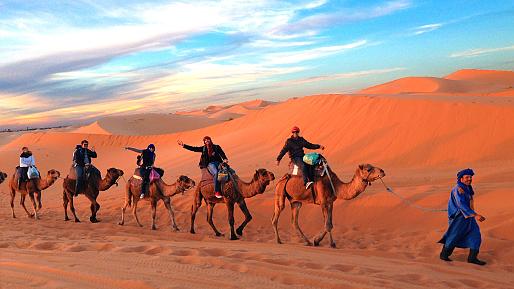 Sunset Camel Ride in the Sahara