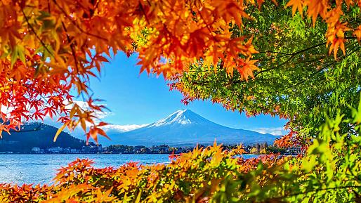 Fall Foliage, Mt. Fuji