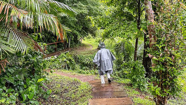 Soft Jungle Trekking, Khao Yai