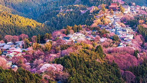 Mt. Yoshino, Japan