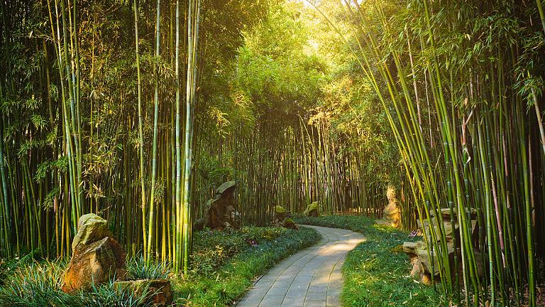 Wangjianglou Park, Chengdu