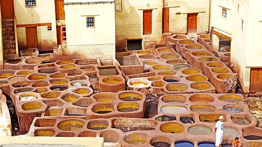 Chouara Tannery in Fez