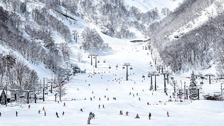 Hakuba Goryu