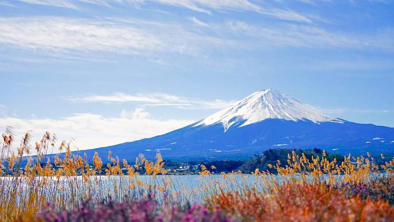Mt. Fuji