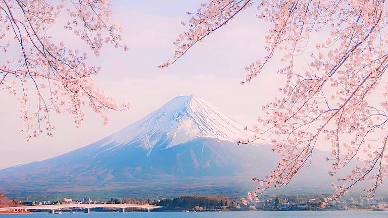 Mt. Fuji