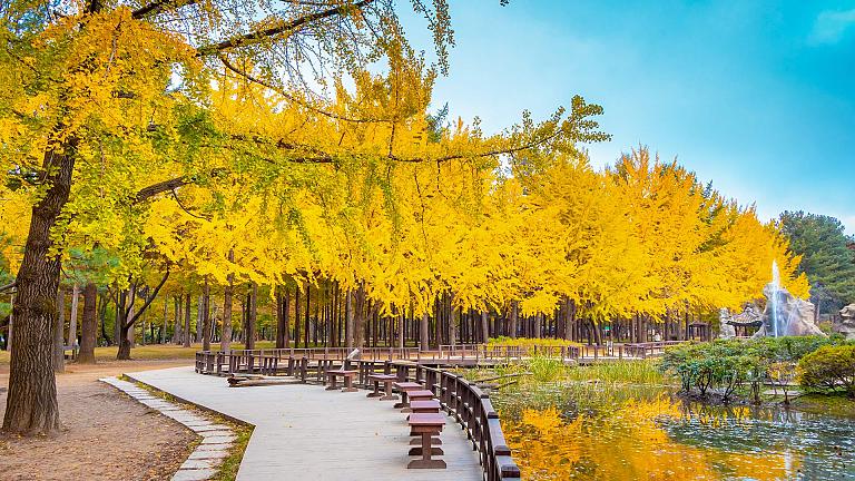 Nami Island, Seoul